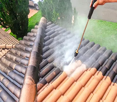 Lavagem de Telhados em Lauzane Paulista
